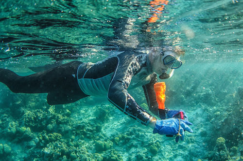Snorkelling the Blue Hole Belize