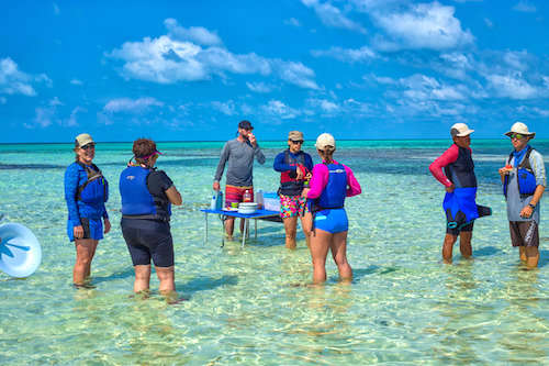 Water Lunch on Glovers Reef