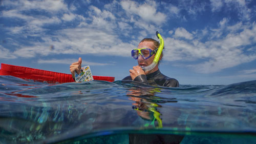 snorkel gear Belize