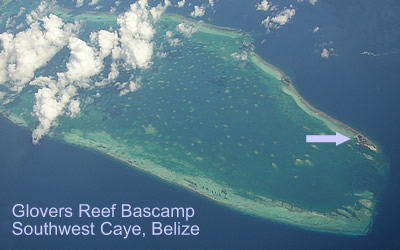 Southwest Caye, Glover's Reef Atoll