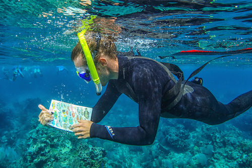 Snorkeling at Glover's Reef Atoll, Belize