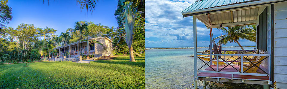 Rainforest Reef Explorer Package
