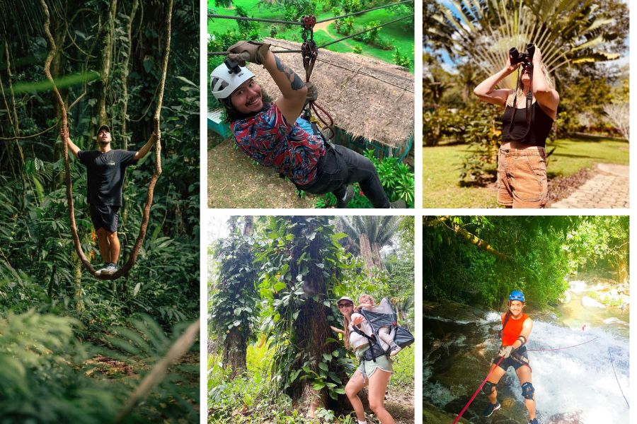 best things to do at Bocawina zipline,  jungle hiking, waterfall rappelling, birdwatching, jungle walkabout