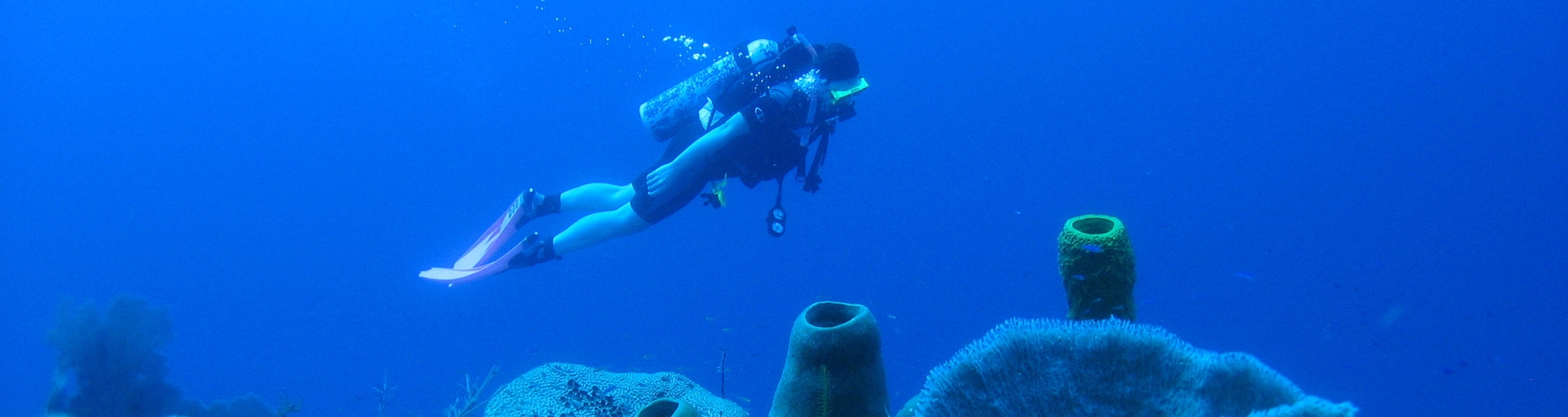 Belize Scuba Diving Packages