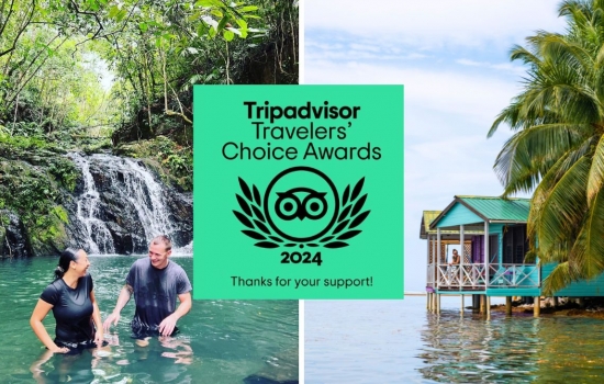 Bocawina Rainforest and Tobacco Caye Paradise receive TripAdvisor Travelers choice award 2024