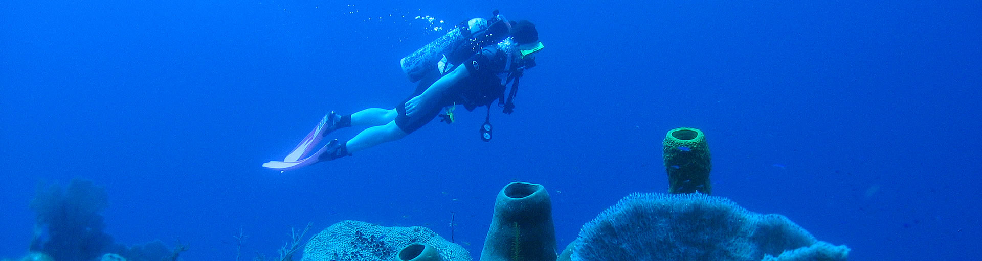 Scuba Diving Adventures in Belize