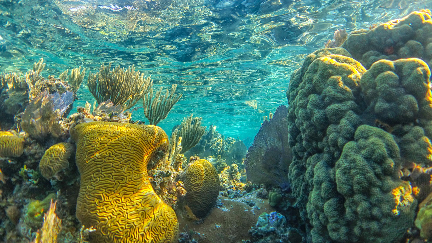 Blue Hole Belize