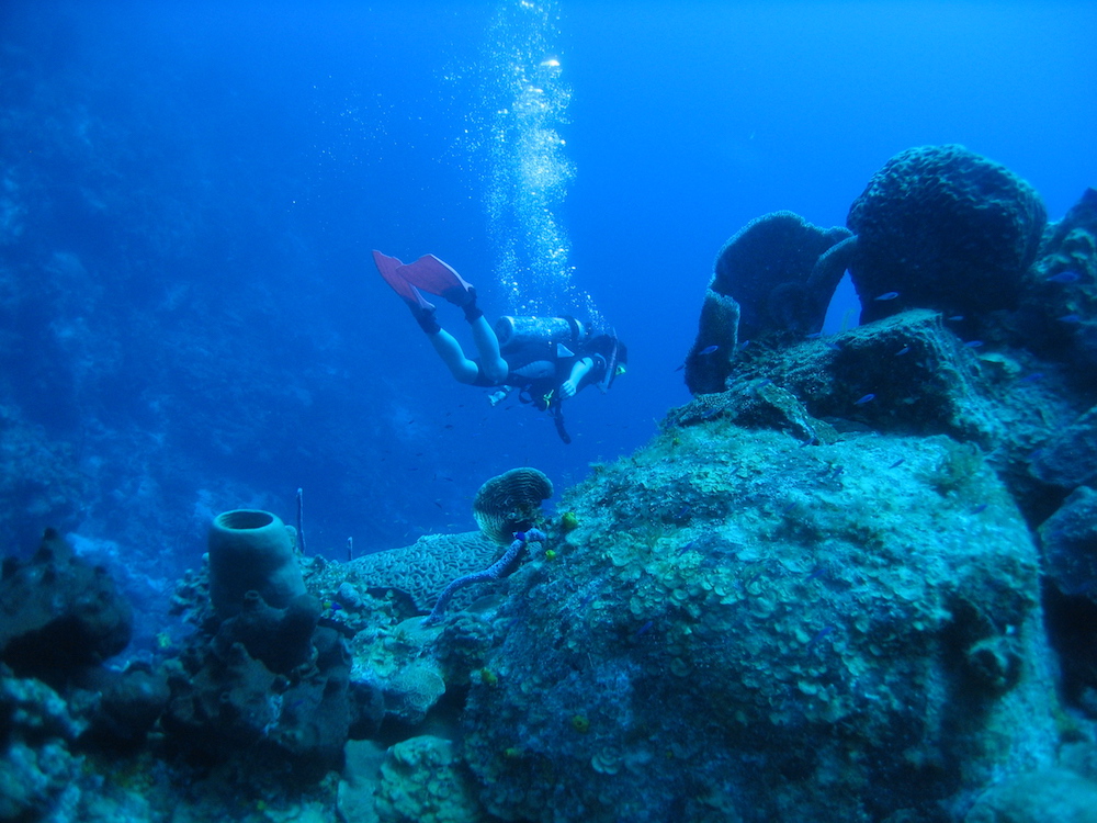 Belize Scuba Diving Packages