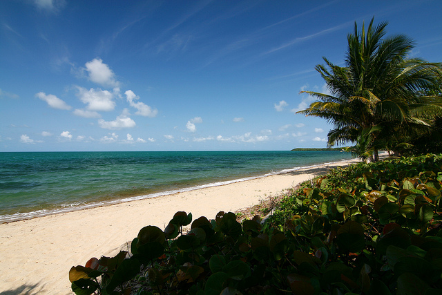 Hopkins Beach