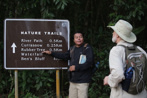 Birdwatching in the Mayflower Bocawina National Park