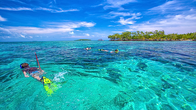 Best Beach Reef And Jungle Combo Vacations Best Beach Reef And Jungle Combo Vacations