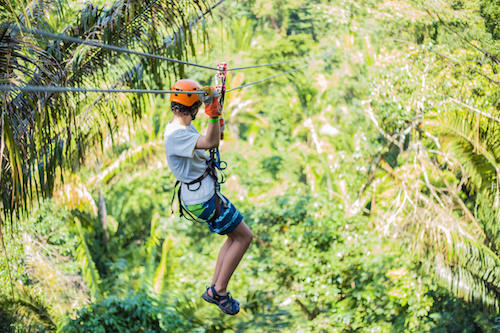 Ziplining at Bocawina