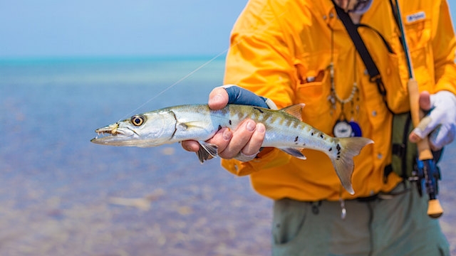 Fly Fishing Belize – Book - Belize River Lodge