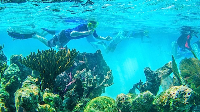 best snorkeling trips in belize