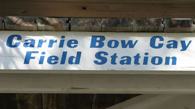 carrie-bow-cay-field-station.jpg