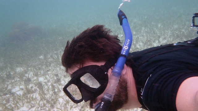 webb1-snorkel-belize.jpg