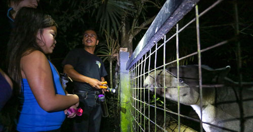 Belize Zoo