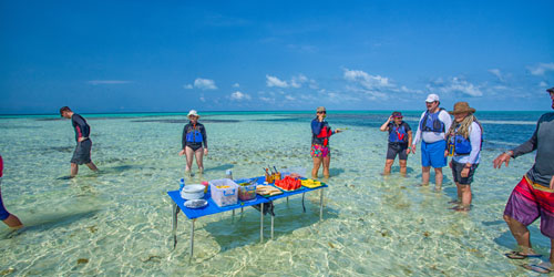 Delicious Meals Belize