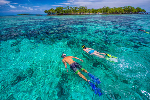 Snorkelling on Paradise Islands Trip