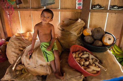 Corn, coconuts and plantains