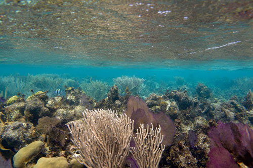 Clear waters at the Blue Hole