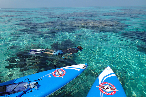 Snorkeling at Southwater Caye
