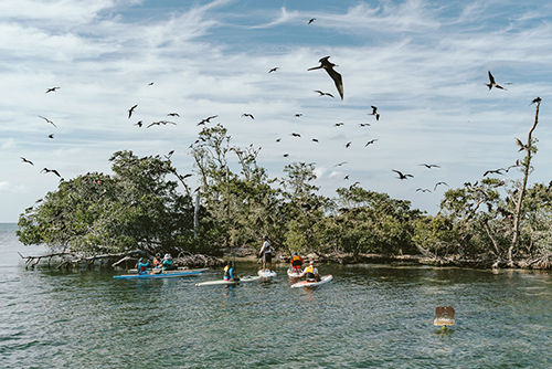 Paddling to Bird Island, Belize