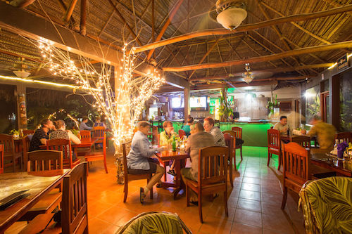 The Wild Fig Jungle Bistro and Bar at Bocawina Rainforest Resort
