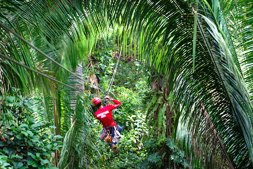 Ziplining at Bocawina Belize