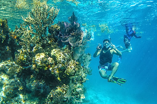 Snorkeling at the Blue Hole, Belize