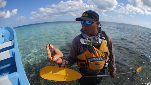 Guide Capi with a conch