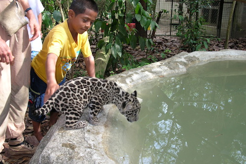 Belize Zoo