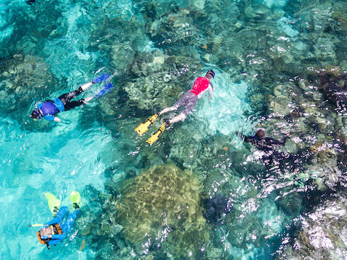 Snorkeling Glovers Reef, Belize