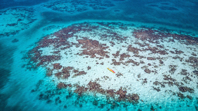 Glovers Reef Atoll, Belize