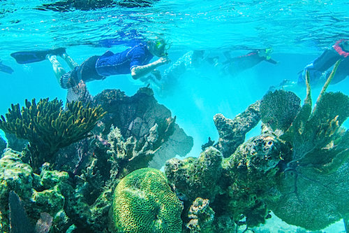 Snorkeling at Glover’s Reef Atoll