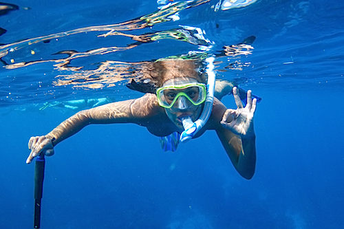 Snorkeling Glovers Reef, Belize