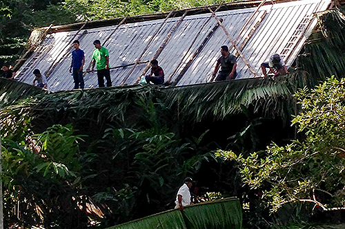 Roofing at Bocawina Rainforest Resort