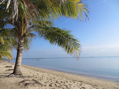 Hopkins Beach