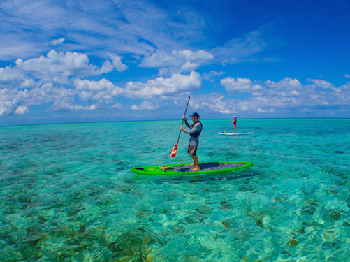 SUP on Glover’s Reef, Belize