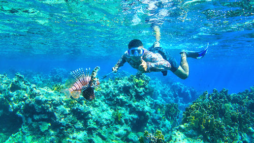 Lionfish hunting Belize