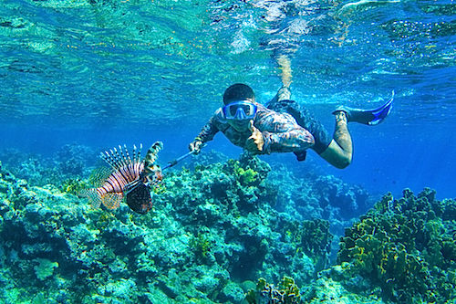 Lionfish hunting Belize