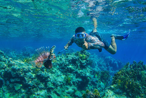 Lionfish Belize