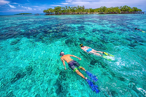 Snorkeling at Billy Hawk Caye