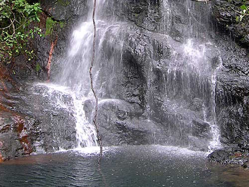 Cockscomb Basin Wildlife Sanctuary