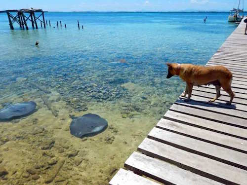 Dog Tobacco Caye, Belize