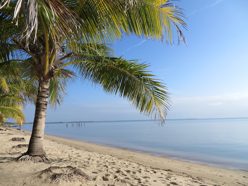 Hopkins Belize