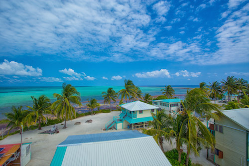 WCS at Middle Caye