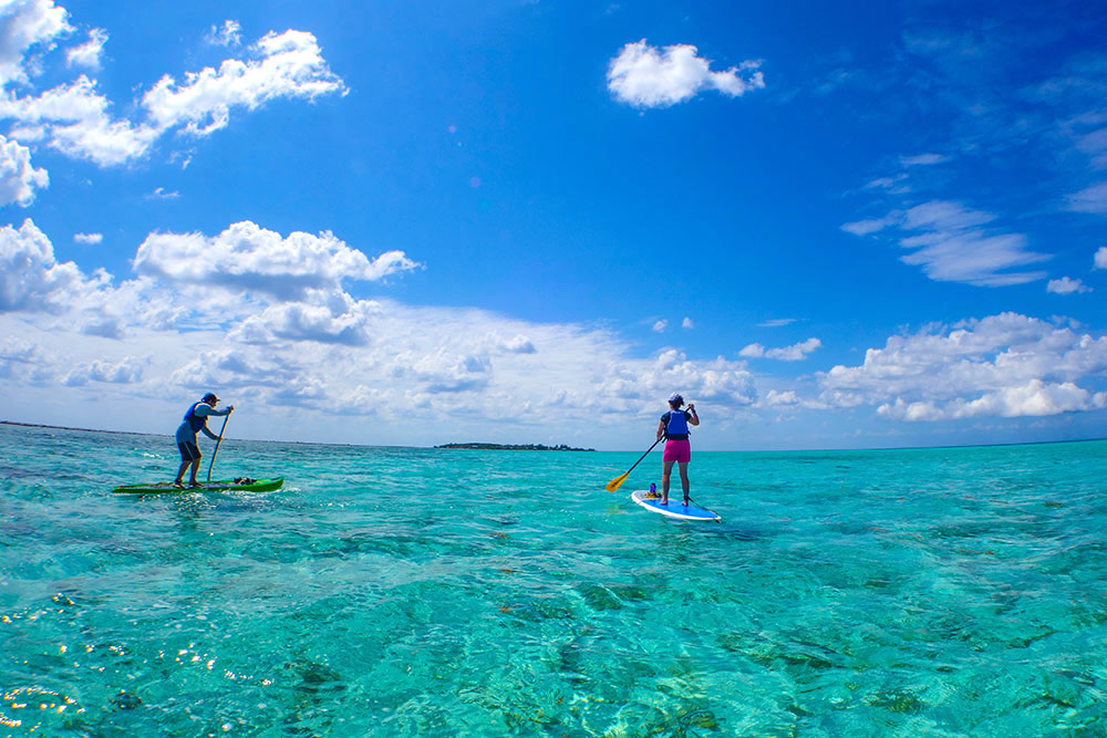 Glover's SUP Adventure