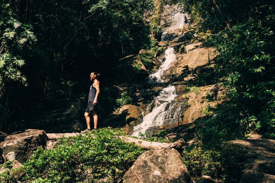 Jungle Waterfalls 