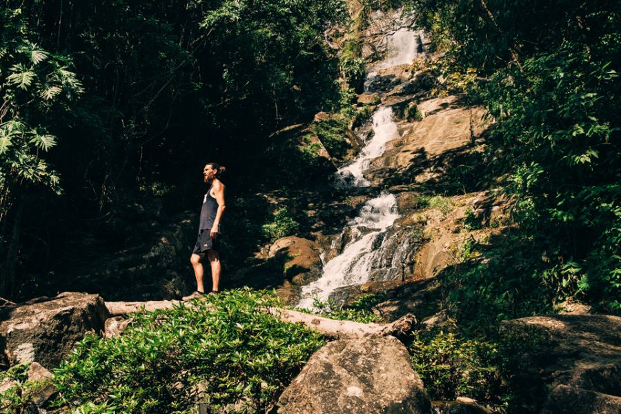 Jungle Waterfalls